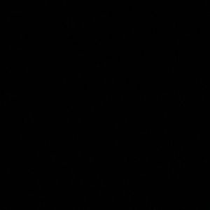 Meet your Posher, Licet